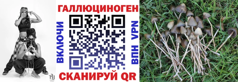 Галлюциногенные грибы мицелий  Купить закладки  Выкса 